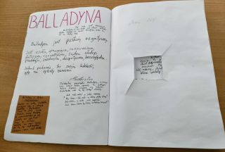 IMG20240227093624~2_copy_2312x1565